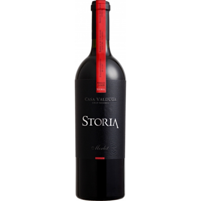 Vinho Tinto Casa Valduga Storia Merlot 2018 750ML