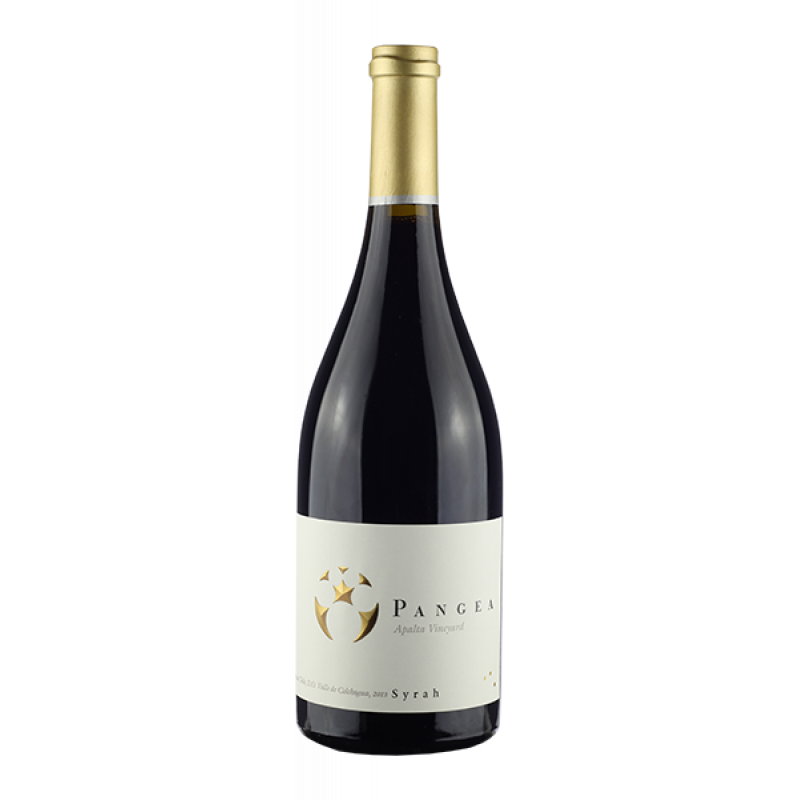 Vinho Tinto Ventisquero Pangea Apalta Syrah 750ML