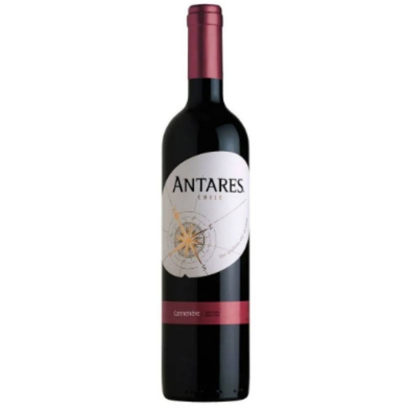 Vinho Tinto Antares Carménère